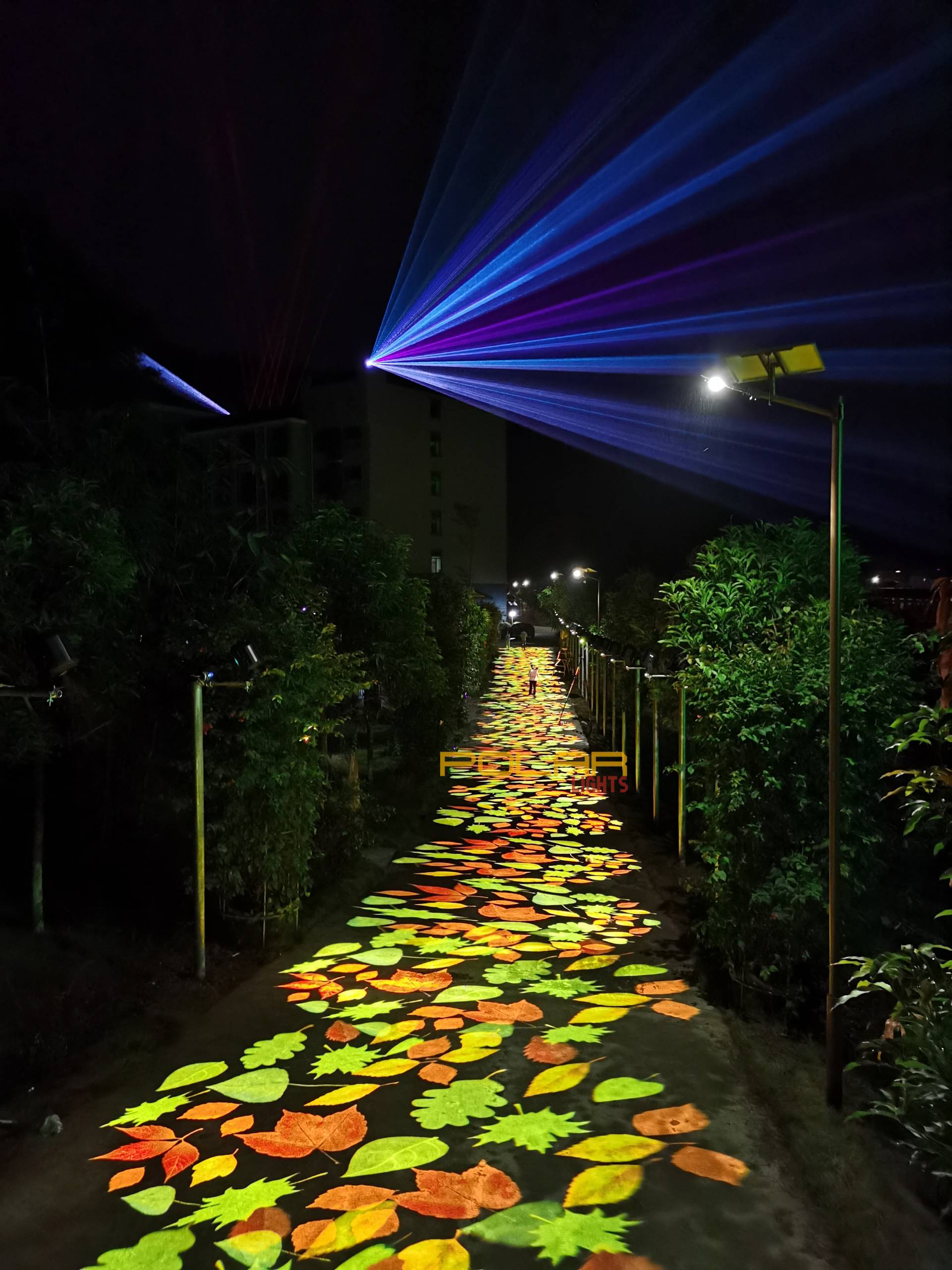 Outdoor Project in Guangxi Province